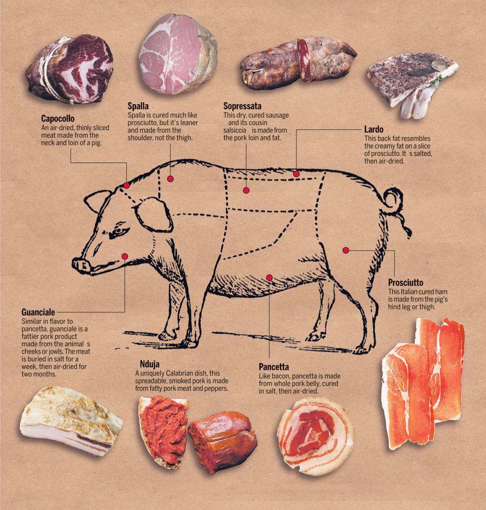 Cured Pork Cuts Chart