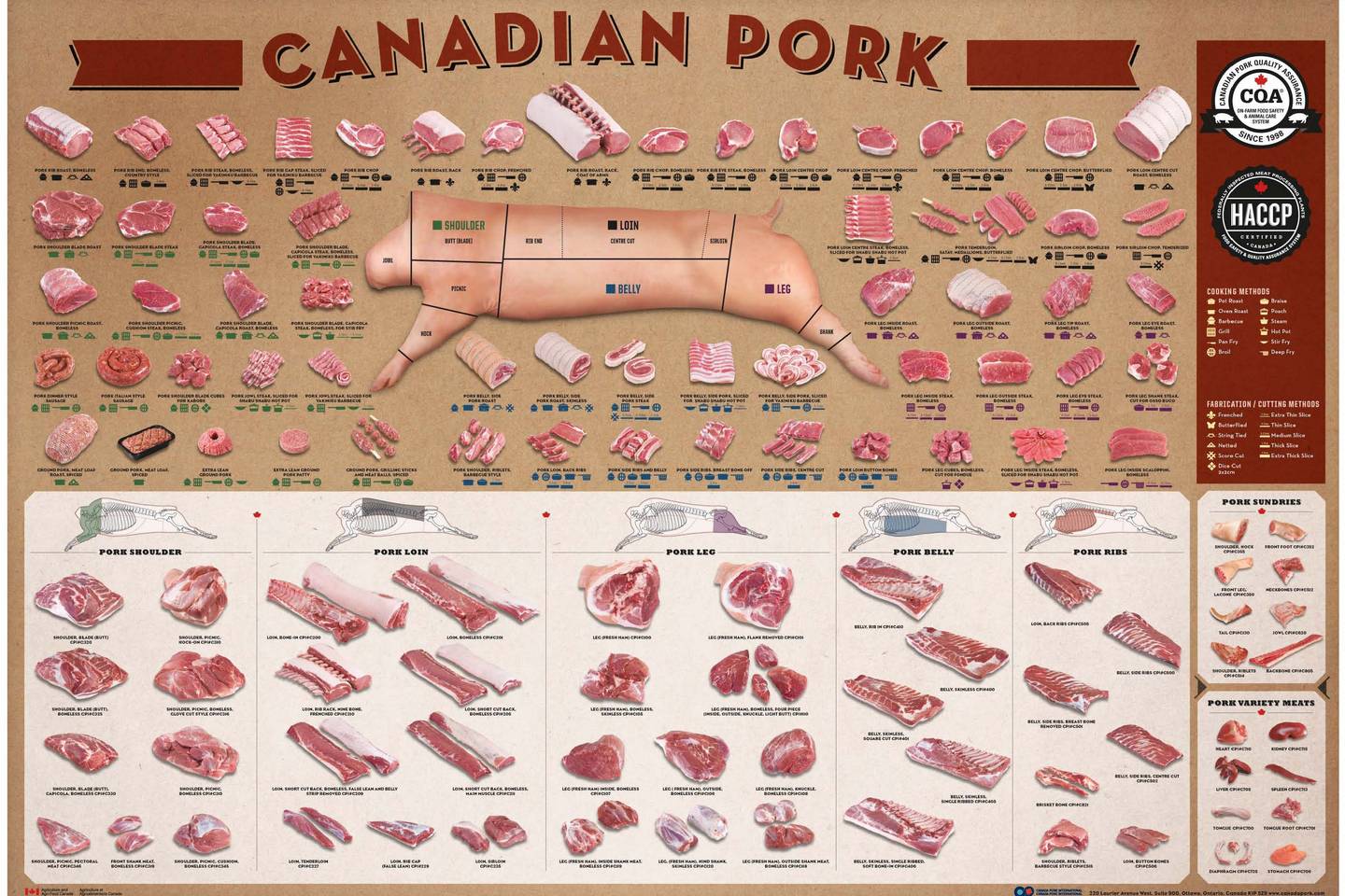 Pork Cuts Chart