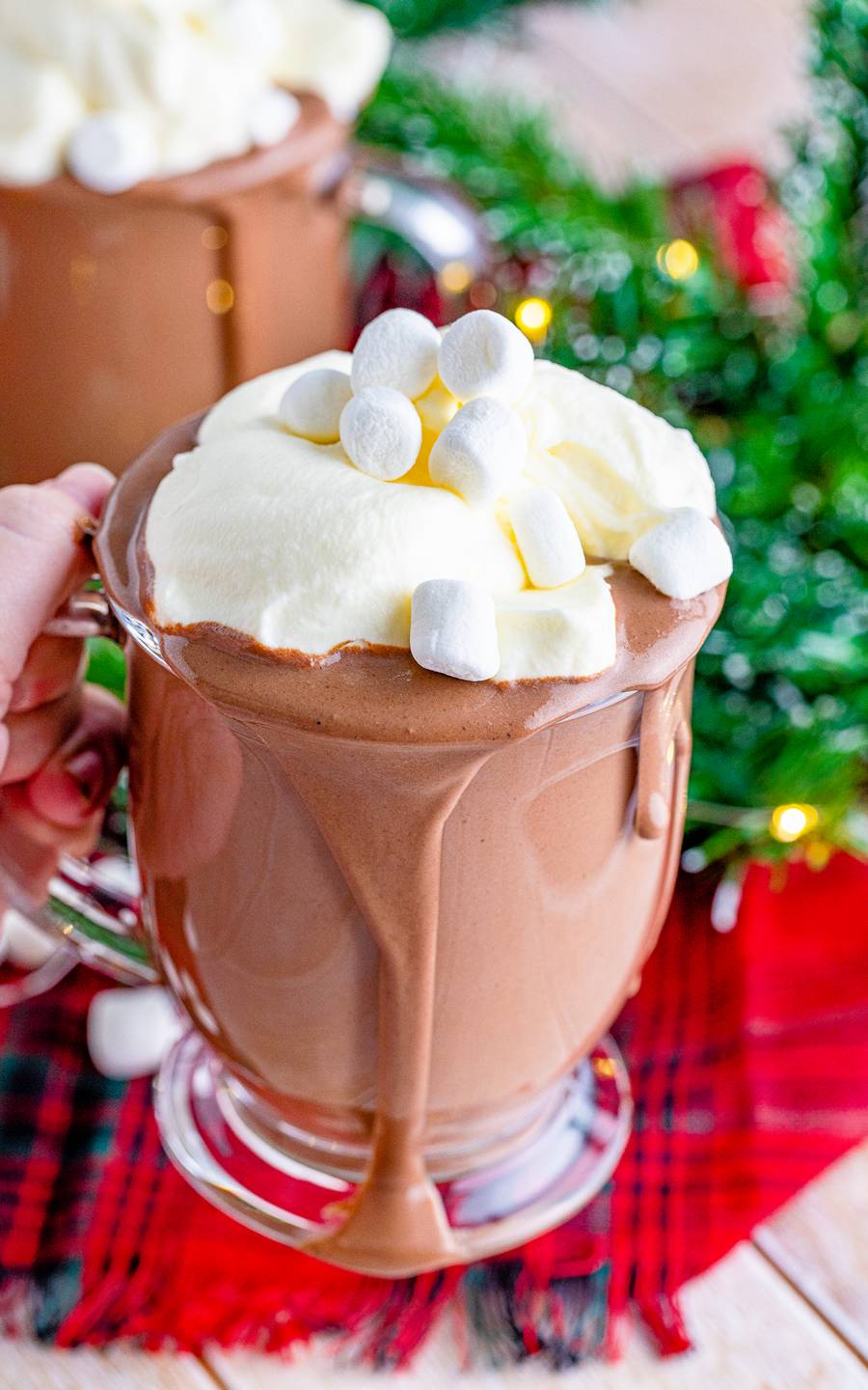 Slow Cooker Hot Chocolate