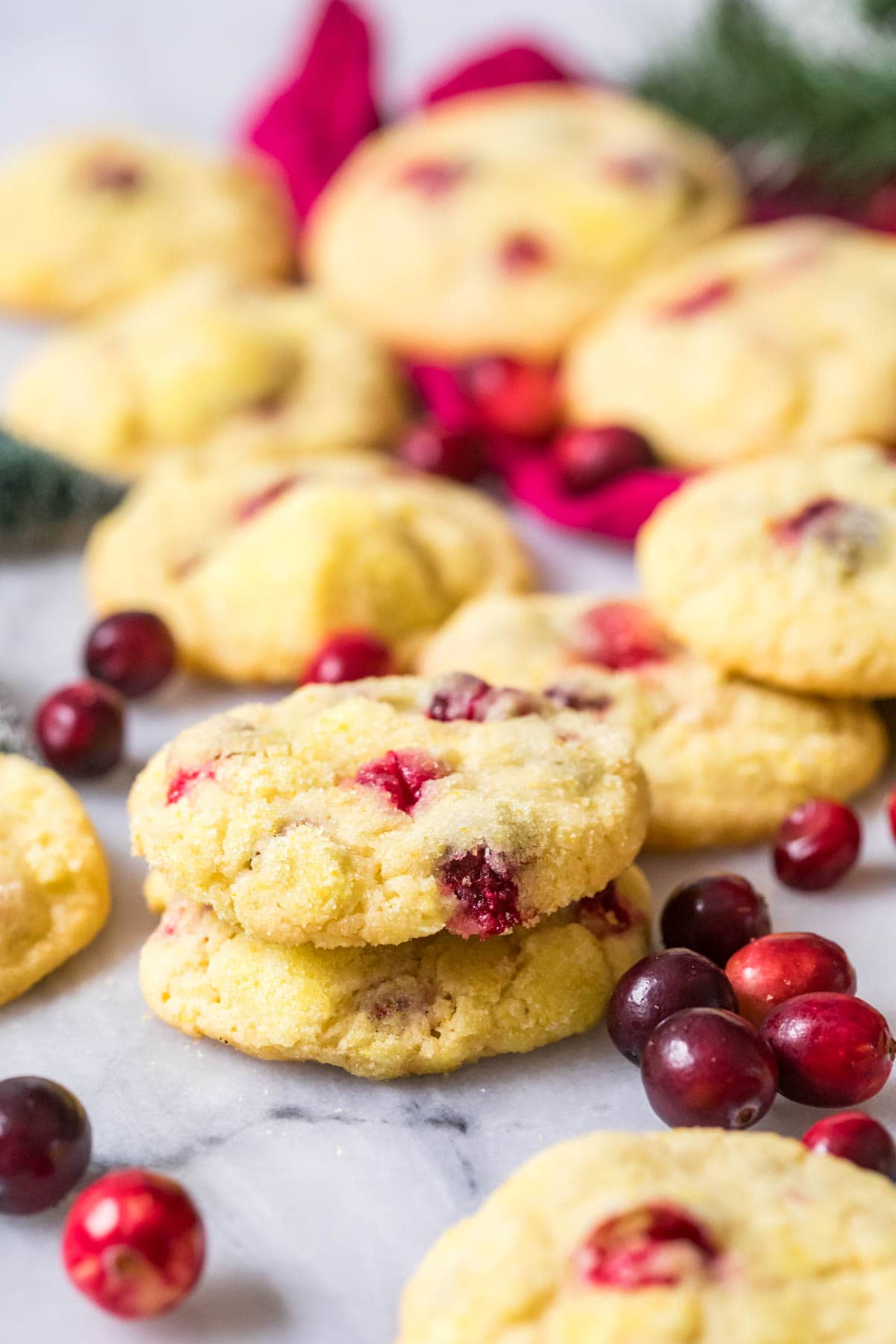 Orange Cranberry Cookies